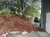 New West Landscape Management, Inc. photo 5
