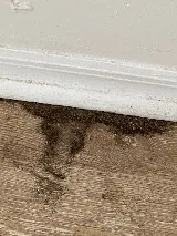 Active Pest Control, Inc. photo 3