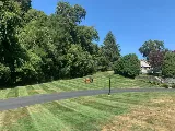 VIP Landscaping photo 4