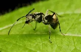 Extermination Target photo 3