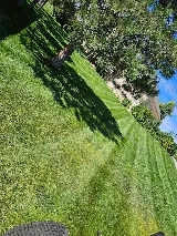 Legendary Lawncare LLC