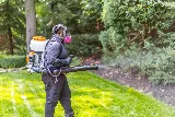 proof. Pest Control photo 4