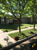 All-Pro Mowing and Landscaping photo 6