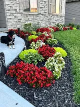 Two Men Landscaping photo 8
