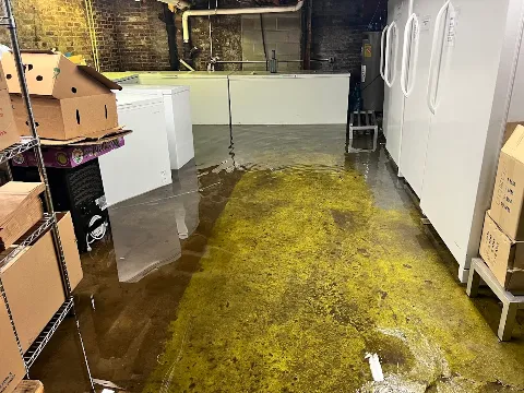 Diamond Plumbing & Drain Cleaning photo 1