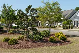 Edge Landscaping Co. photo 5