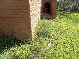 Scherz Landscape Co photo 5
