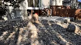 GreenProlandscaping LTD photo 8
