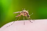 Interstate Pest Management photo 8