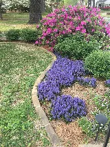 Novation Landscapes & Irrigation photo 7