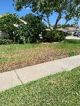 McCall Pest & Wildlife - Tampa photo 3