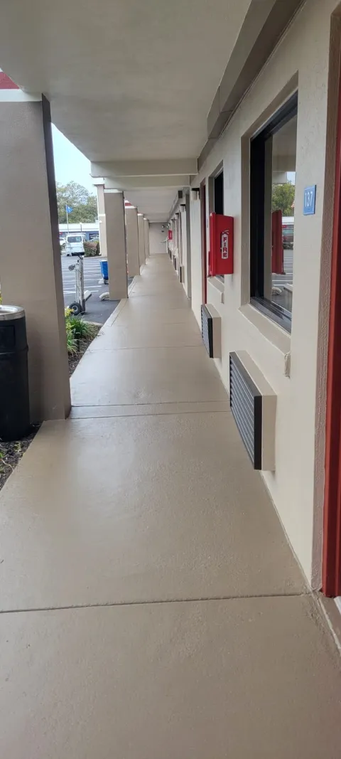 Jumbo Painting, Inc in Tampa