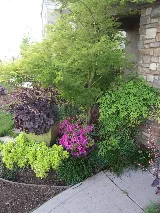 Lavish Gardens Landscape photo 4