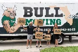 Bull Moving photo 2