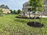 Good N' Green photo 2