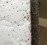 A1-Termite & Pest Control photo 8