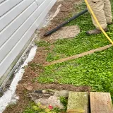 Del Valle Termite & Pest Control photo 5