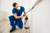 Bed Bug Exterminator Buffalo photo 4