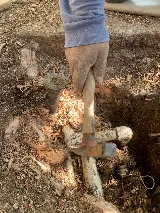 Laredo Lawn, Inc. photo 7