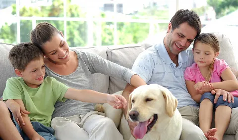 ClearDefense Pest Control in Greensboro