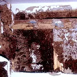 Hi Tech Termite Control photo 4