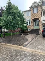 Red Rose Landscaping photo 5