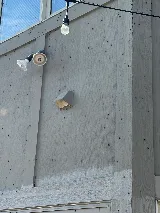 Yosemite Pest & Rodent Solutions, Inc. photo 3