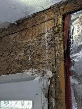 Earthwise Pest Management photo 8