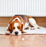 Floor Coverings International Louisville East photo 4