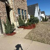 LawnStarter - Kansas City Landscaping photo 7