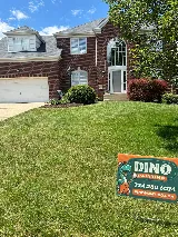 Dino Painting photo 8
