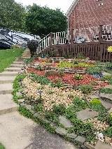 Affordable Lawn Care photo 7