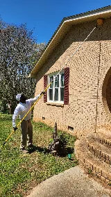 Remedy Pest Control photo 6