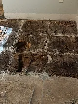 Southern Pest Control photo 6
