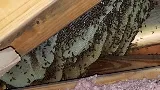 American Pest Solutions at Miramar photo 6