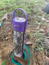 Arrow Termite & Pest Control photo 3