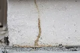 BeeSafe Pest Control LLC photo 7