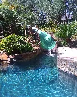 DM Landscape and Maintenance photo 6