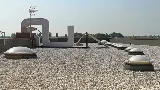 HorizonRoof Flat Roofing Contractors photo 4