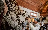 Pro Pest & Wildlife Control Services photo 3