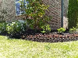 Serene Scenes Lawn and Landscape LLC photo 3