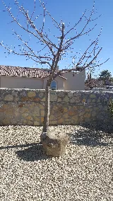 General Services Landscaping and Maintenance photo 6
