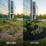Gusjanettos Landscaping photo 3