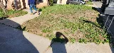 Landscaping & Gardening service