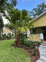 Terra Consulting & Design and Stump Grinding photo 3