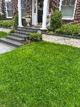 O'Brien Brothers Landscaping photo 5
