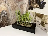 Unique Flooring Solutions photo 5