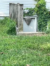 Ehrlich Pest Control photo 8