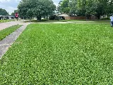 Barefoot Lawns & Lights