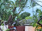 Le'ahi Landscaping photo 5